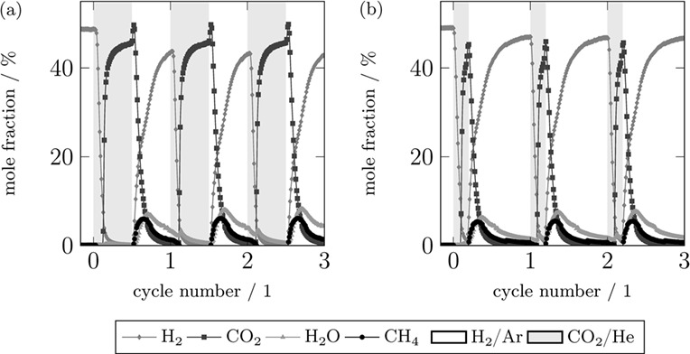 Dynamic Methanation of CO2 – Effect of Concentration Forcing
