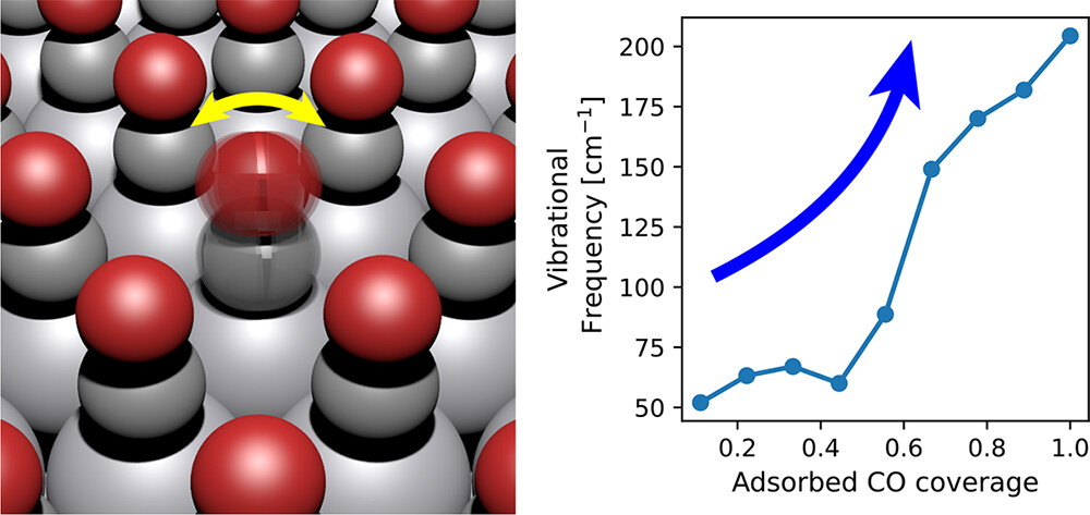 Influence of Coverage Dependence on the Thermophysical Properties of Adsorbates and Its Impact on Microkinetic Models