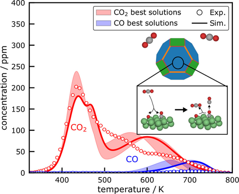 Microkinetic Modeling of the CO2 Desorption from Supported Multifaceted Ni Catalysts