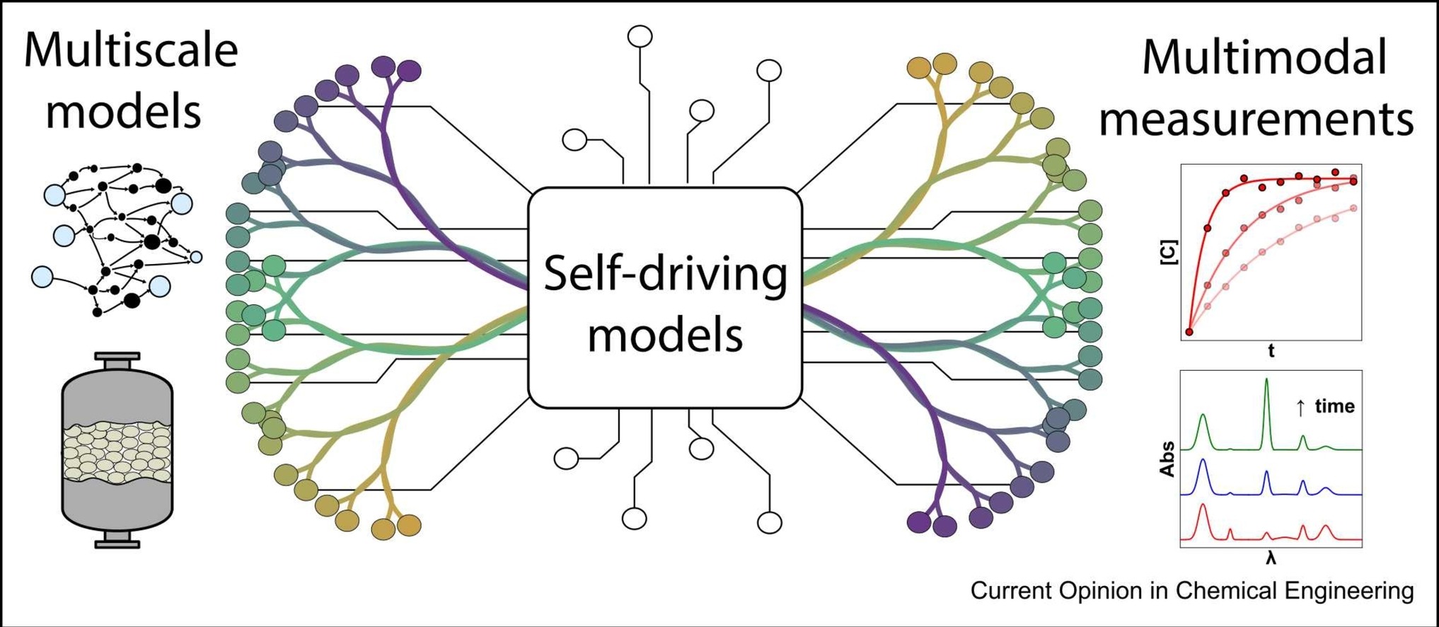 AI framework coupling multiscale models with multimodal experimental data